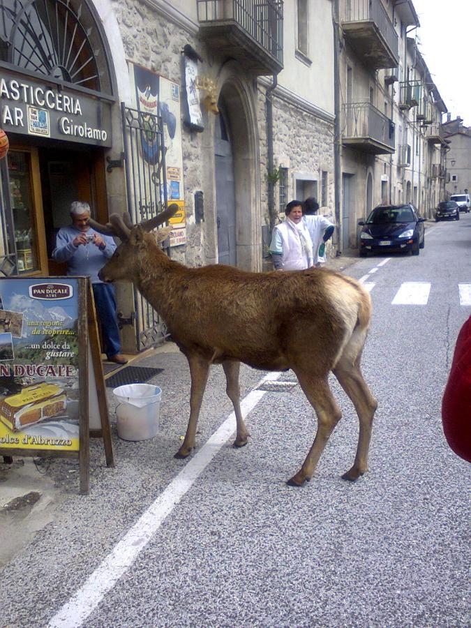 Hotel Il Vecchio Pescatore Villetta Barrea Luaran gambar