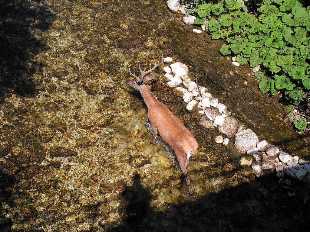 Hotel Il Vecchio Pescatore Villetta Barrea Luaran gambar